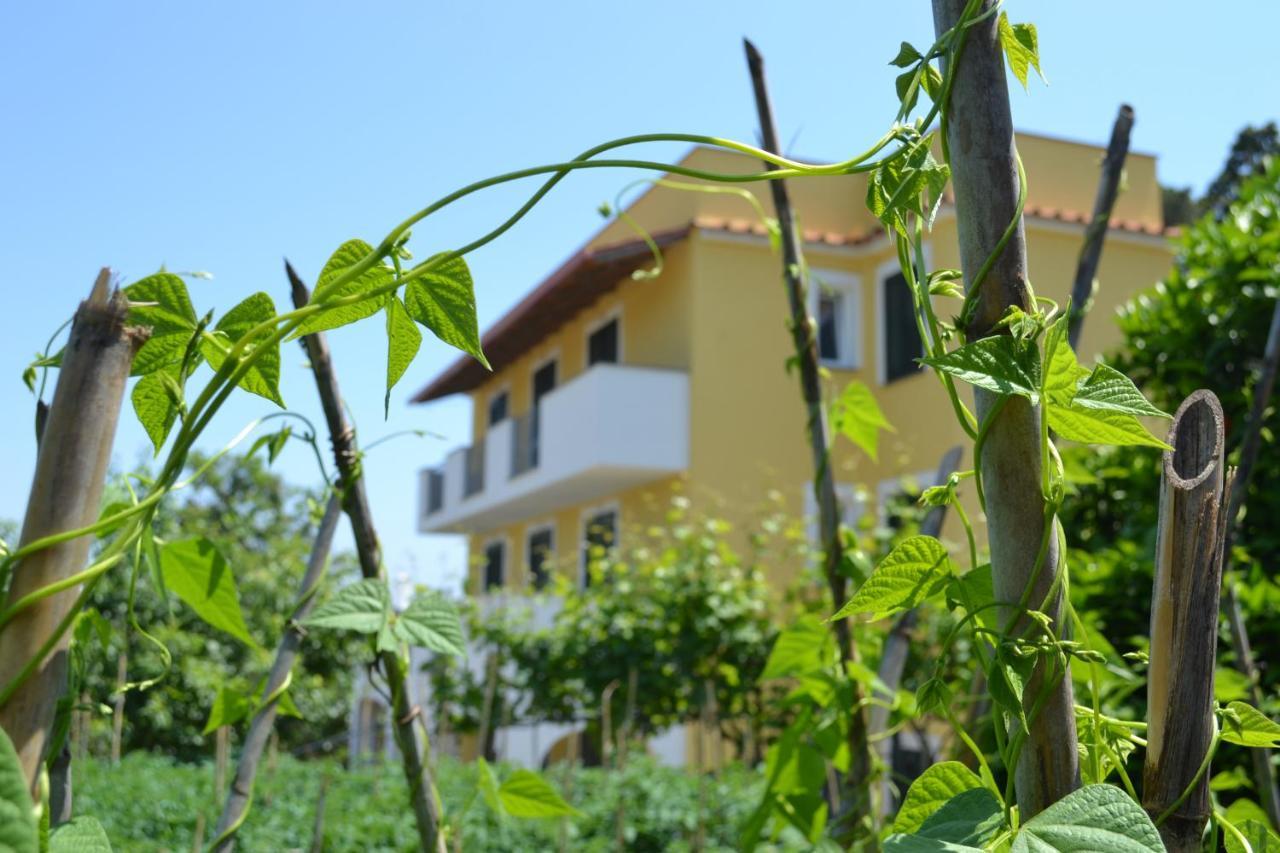 B&B La Vigna - Ischia Ponte Esterno foto